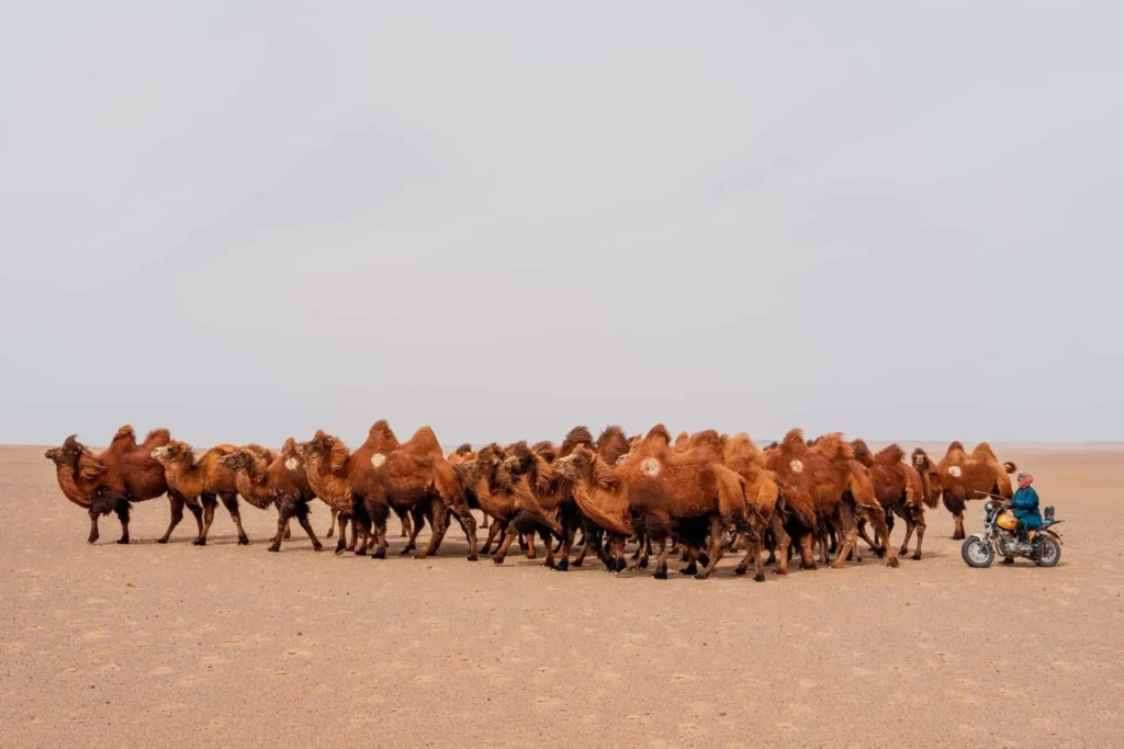 Mongolia: The Land of the Eternal Blue Sky