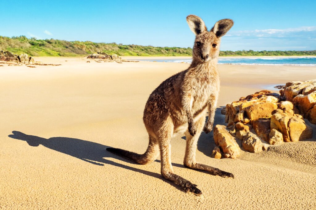 Australia: Land of Stunning Landscapes and Rich Heritage