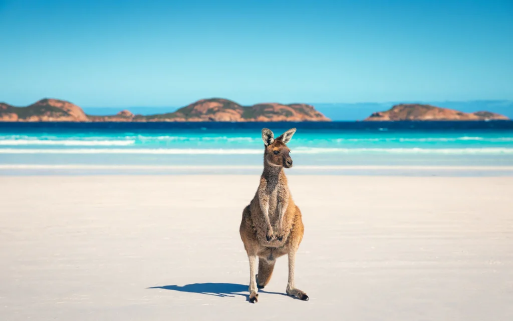 Australia: Land of Stunning Landscapes and Rich Heritage