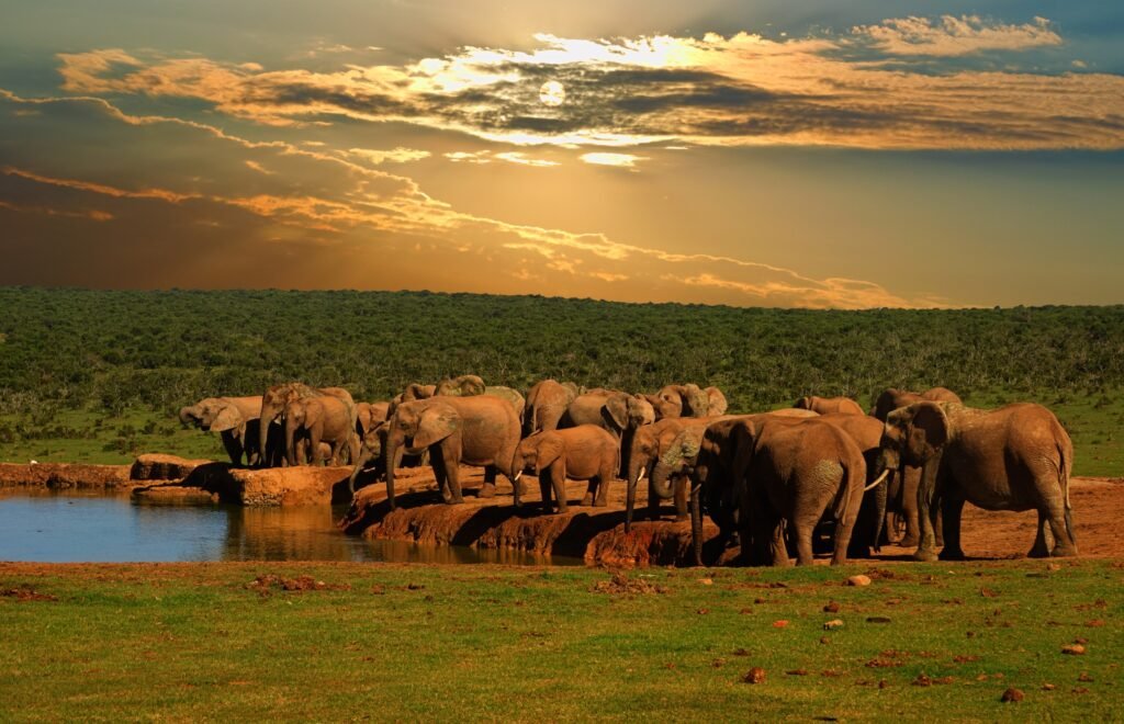 South Africa: A Tapestry of Cultures and Natural Beauty