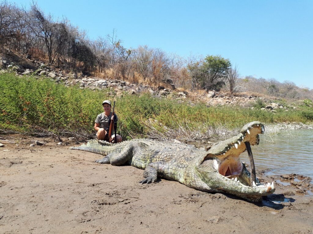 Mozambique: Land of Natural Beauty and Cultural Diversity