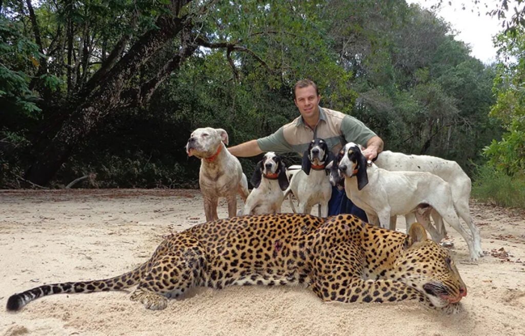 Mozambique: Land of Natural Beauty and Cultural Diversity