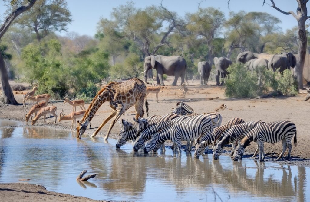 South Africa: A Tapestry of Cultures and Natural Beauty